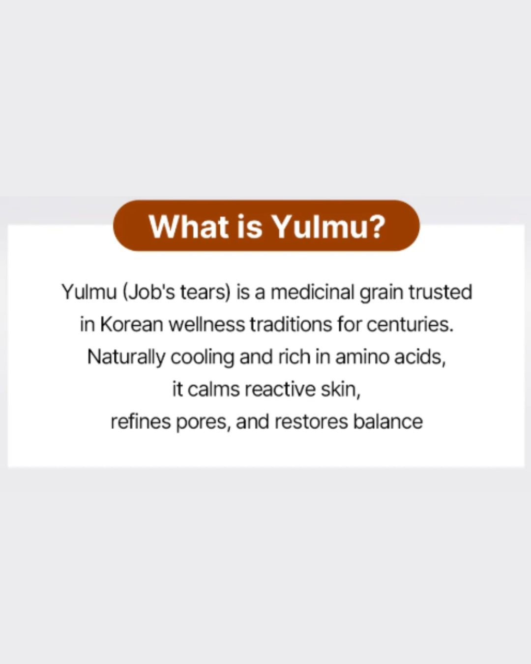 [PROMO] Returnity Yulmu Line Bundle (Yulmu Skinclean Mask + Gel Mask (5EA) + Toner + Bubble Booster)