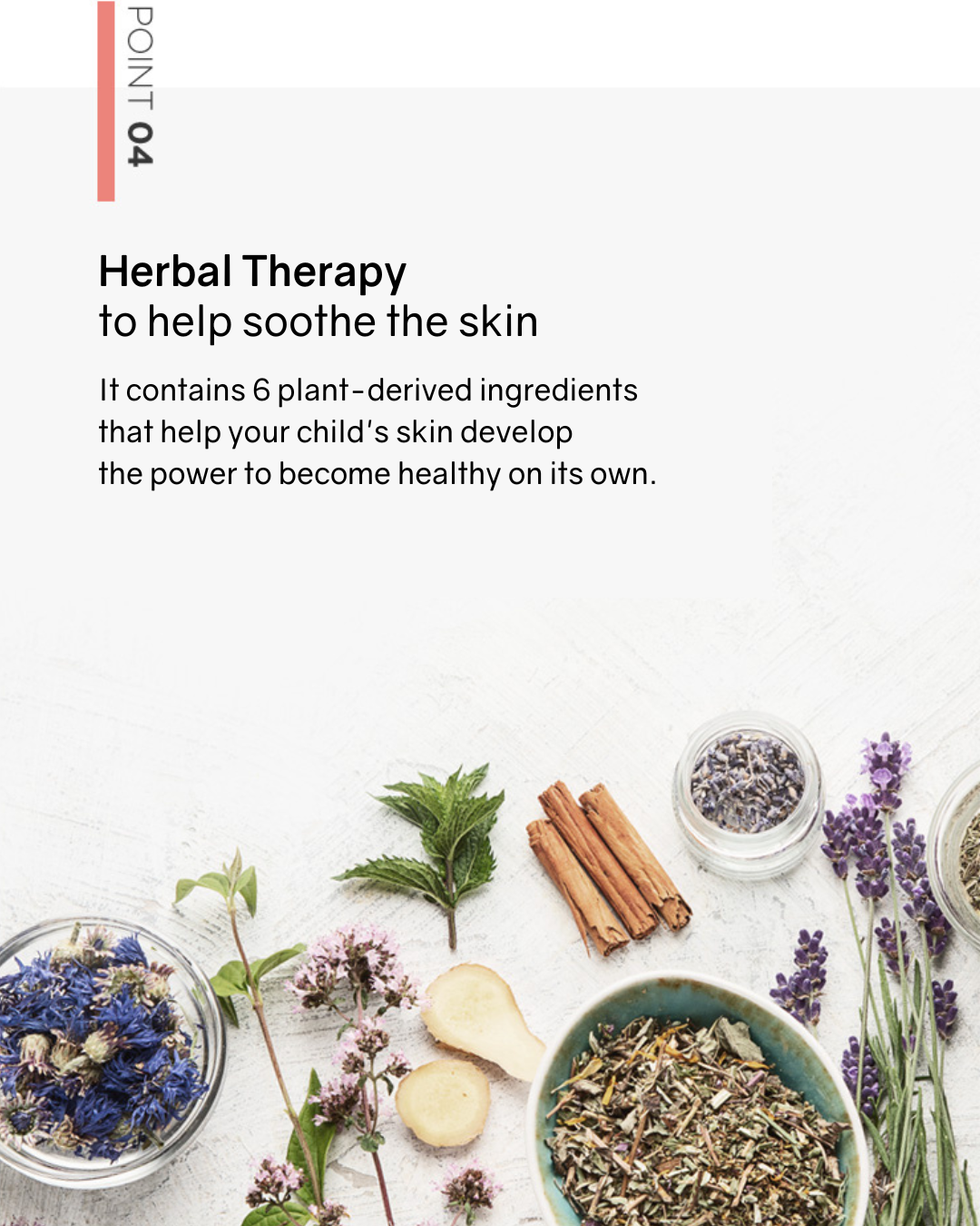 [PROMO] Botanical Therapy Citrus Lemon Hand Wash