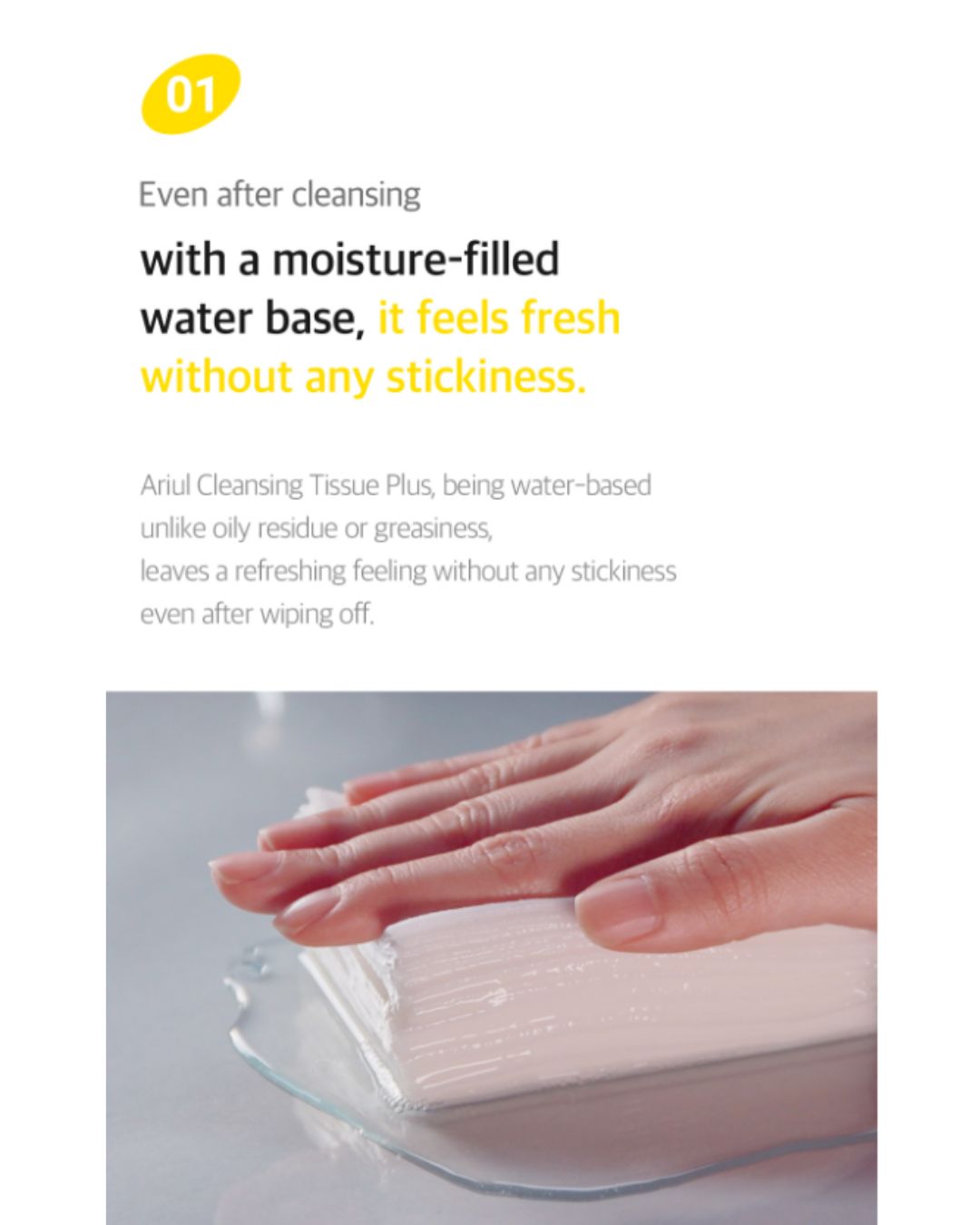 Ariul The Perfect Cleansing Tissue Plus (20EA/100EA)