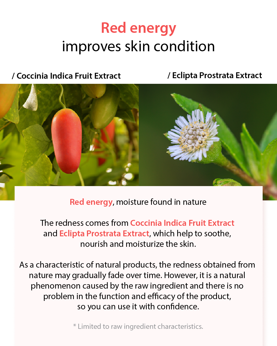 [PROMO] Airin (ARLY) x Lavien Pro Skin Collection