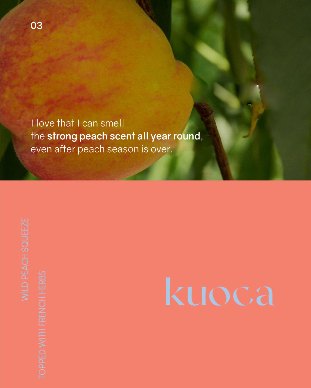 [PROMO] kuoca Hand Cream