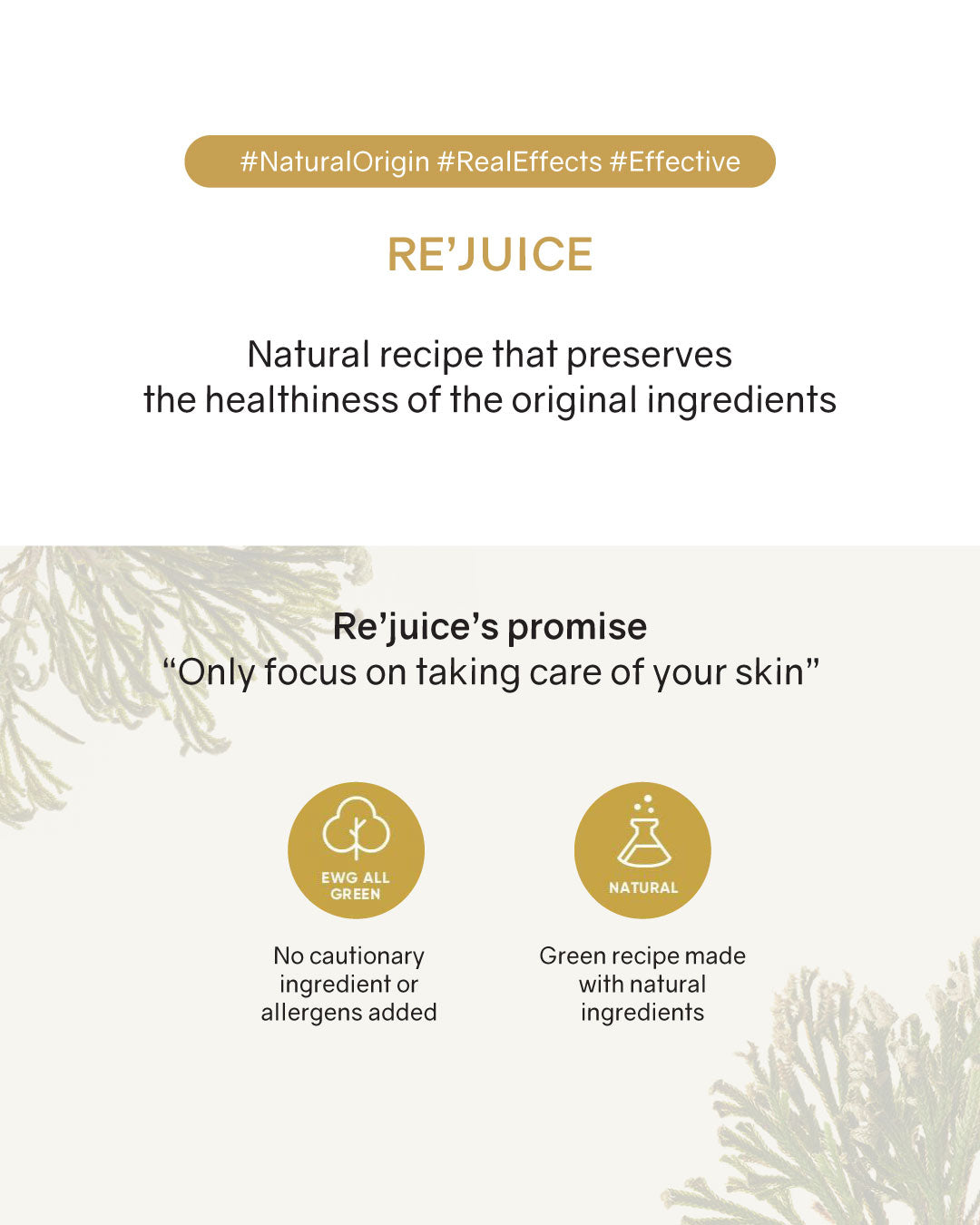 [Online Exclusive] OHIOHOO Re' Juice (True Rose of Jericho)